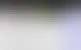 Blurred archive preview
