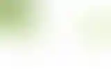 Blurred archive preview