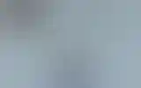 Blurred archive preview