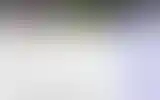 Blurred archive preview
