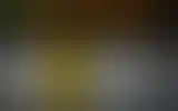 Blurred archive preview