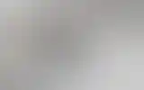 Blurred archive preview