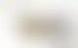 Blurred archive preview