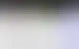 Blurred archive preview