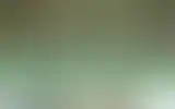 Blurred archive preview