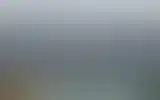 Blurred archive preview