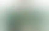 Blurred archive preview
