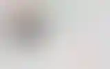 Blurred archive preview