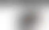 Blurred archive preview