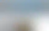Blurred archive preview