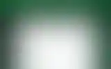 Blurred archive preview