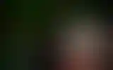 Blurred archive preview