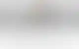 Blurred archive preview
