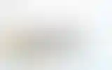 Blurred archive preview