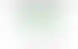 Blurred archive preview